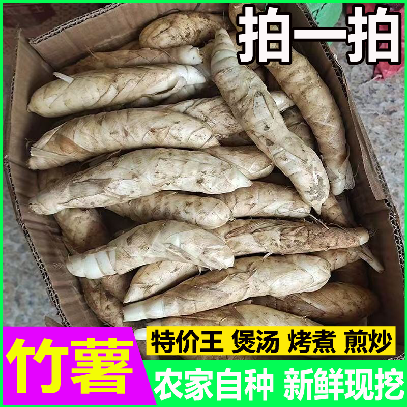 新鲜现挖竹薯冬粉薯煲汤火锅应季蔬菜食材批发竹香糯薯冬薯冬笋薯