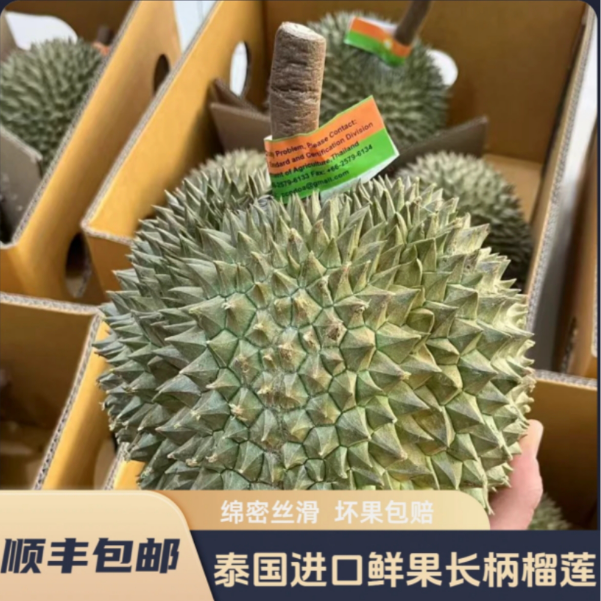 【一物一拍】杰··泰国长柄猫山老树榴莲软糯香甜顺丰发货不要生切
