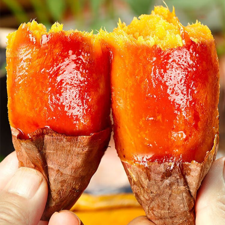 山东正宗烟薯25号流油流蜜新鲜沙地现挖红薯红糖心蜜薯番薯当季