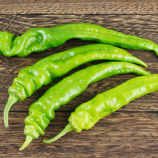 现摘螺丝椒新鲜采摘薄皮中微辣香辣青椒