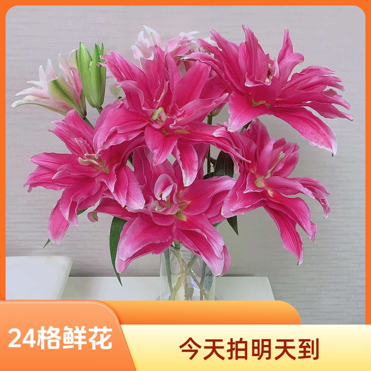 【艾琳娜重瓣百合】同城明天到-全场任意满2单以上鲜花升级顺丰京东包邮