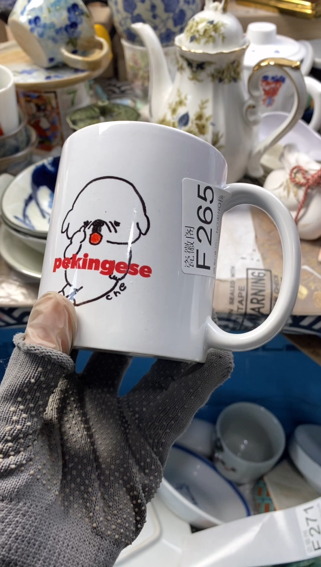 瓷片图****猫默认微瑕，介意慎拍F265