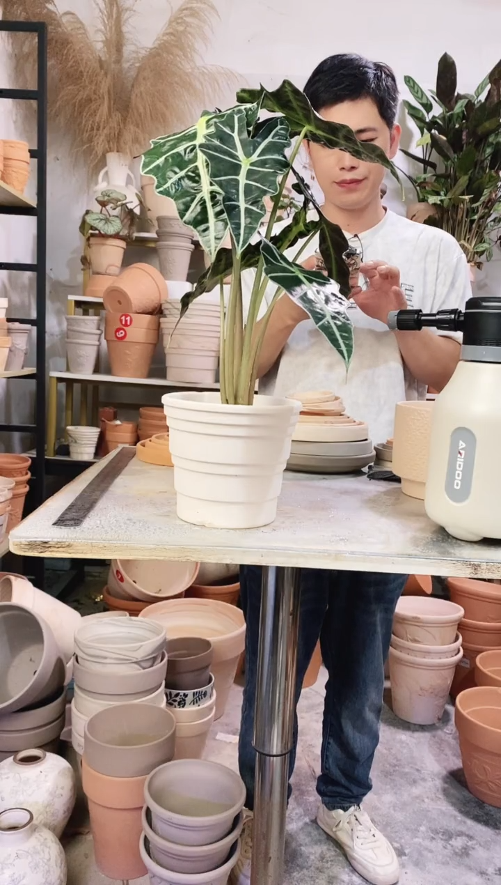 瑕疵无售后16*14白色磨砂竹节 1盆无托