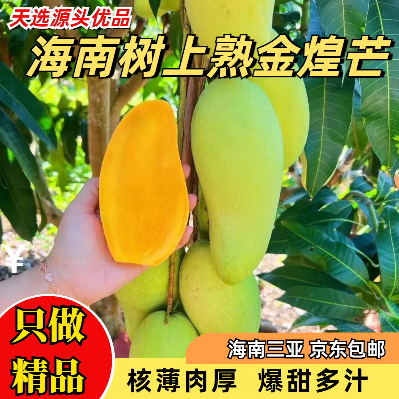 【店长推荐】海南三亚金煌芒核薄肉厚新鲜当季果园中小果现摘现发
