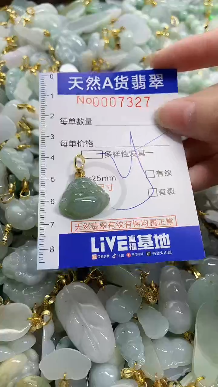 颈饰未镶嵌翡翠天然A货翡翠