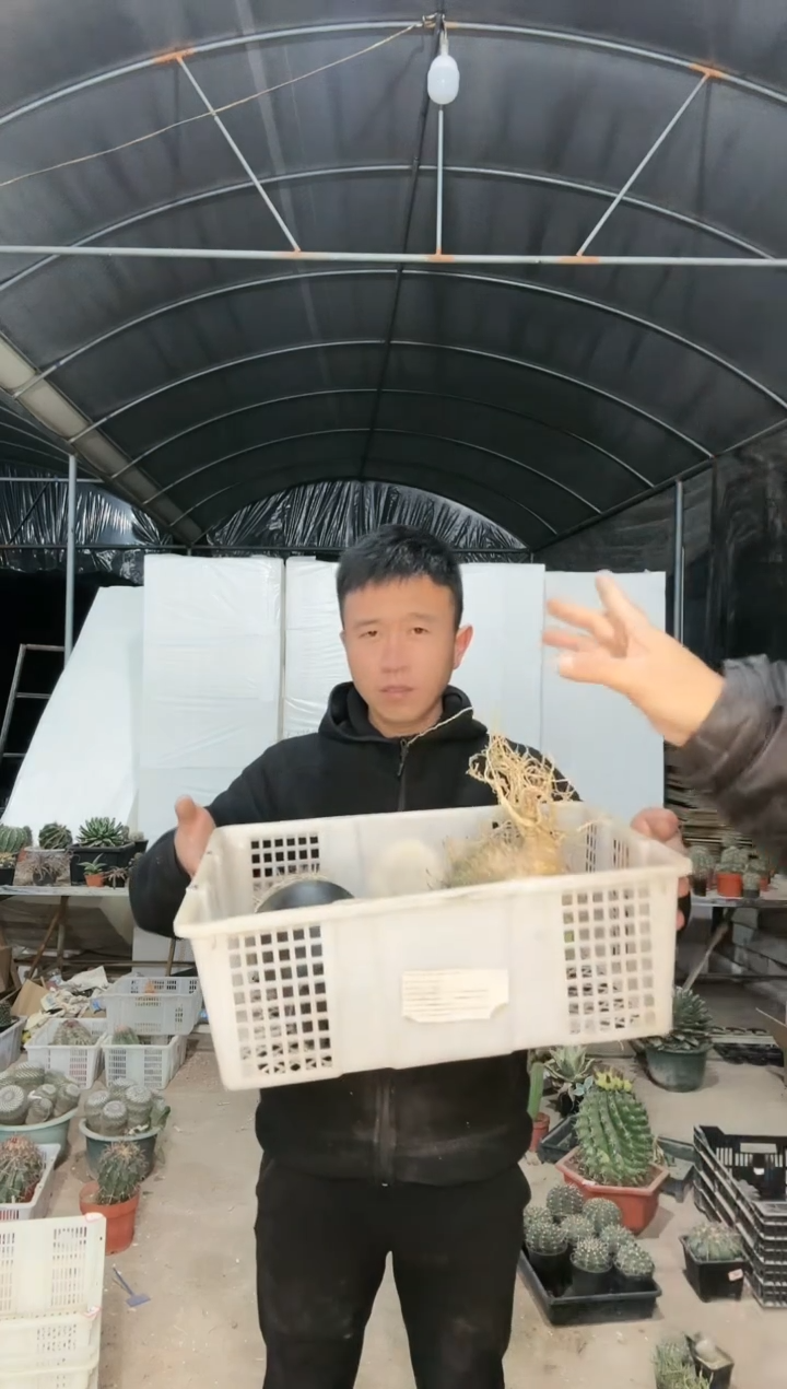 【闪购商品】筐拍 32号