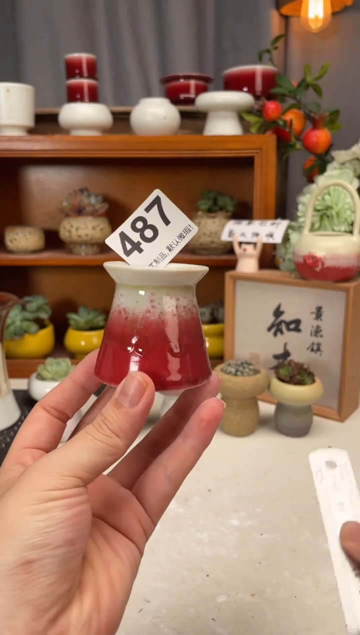 瓷片487小芳直播编号