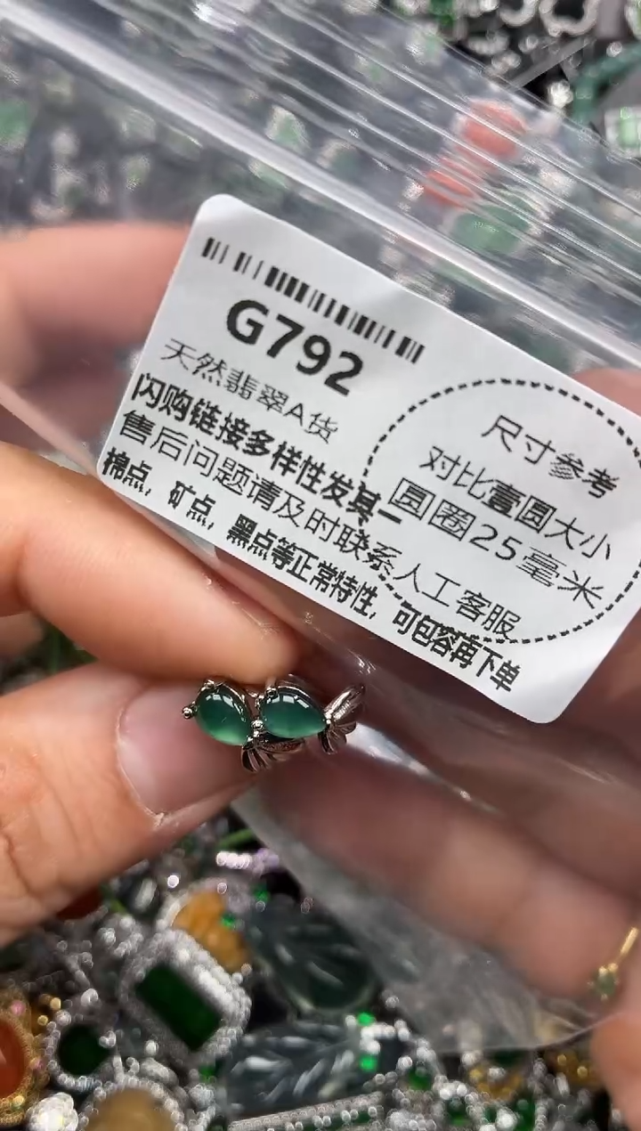 颈饰未镶嵌翡翠G792耳扣