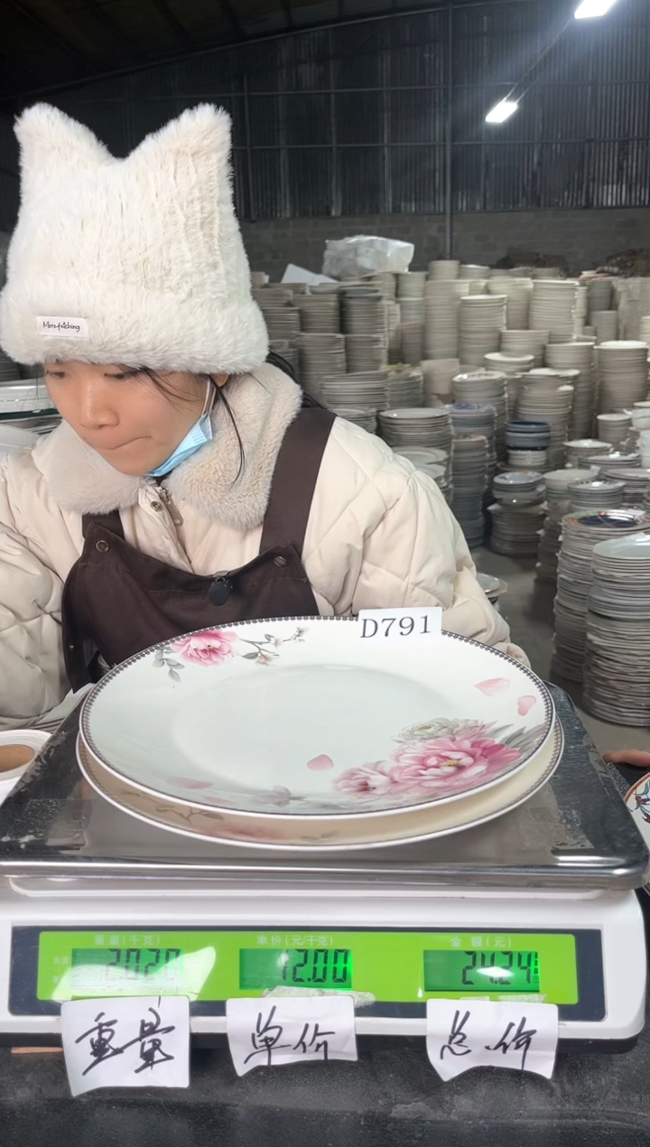 新骨瓷D791  10.5寸  2个