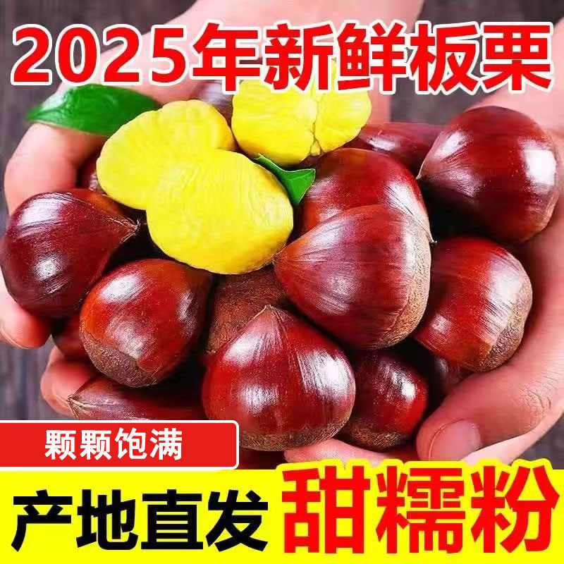 大别山栗子2025年新板栗农家现摘生栗子带箱5斤装板栗香甜FK