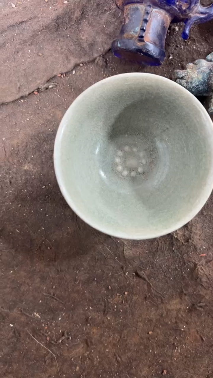 瓷片可**贝杯子一单一个