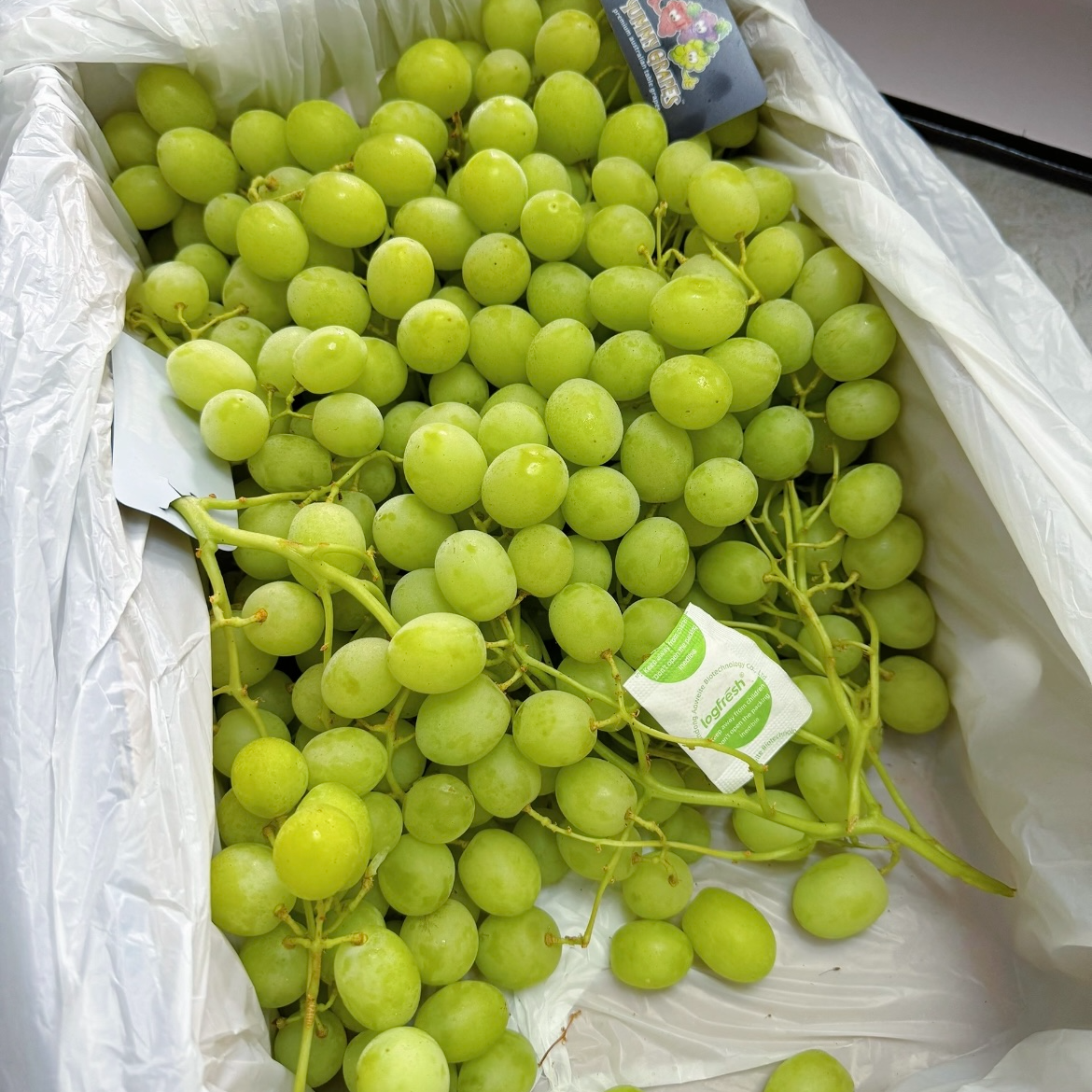 【耒阳配送】葡萄青提 一斤 果肉静莹剔透 汁水饱满云南省