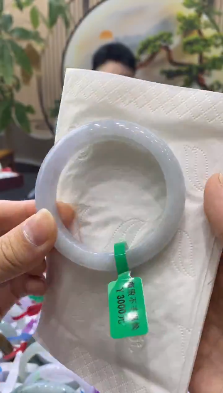 未镶嵌手镯翡翠2141