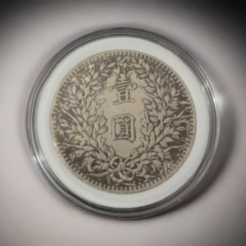 复古家具【随机一枚】银元一枚随机发能吸翻吹响带现代工艺品保护壳