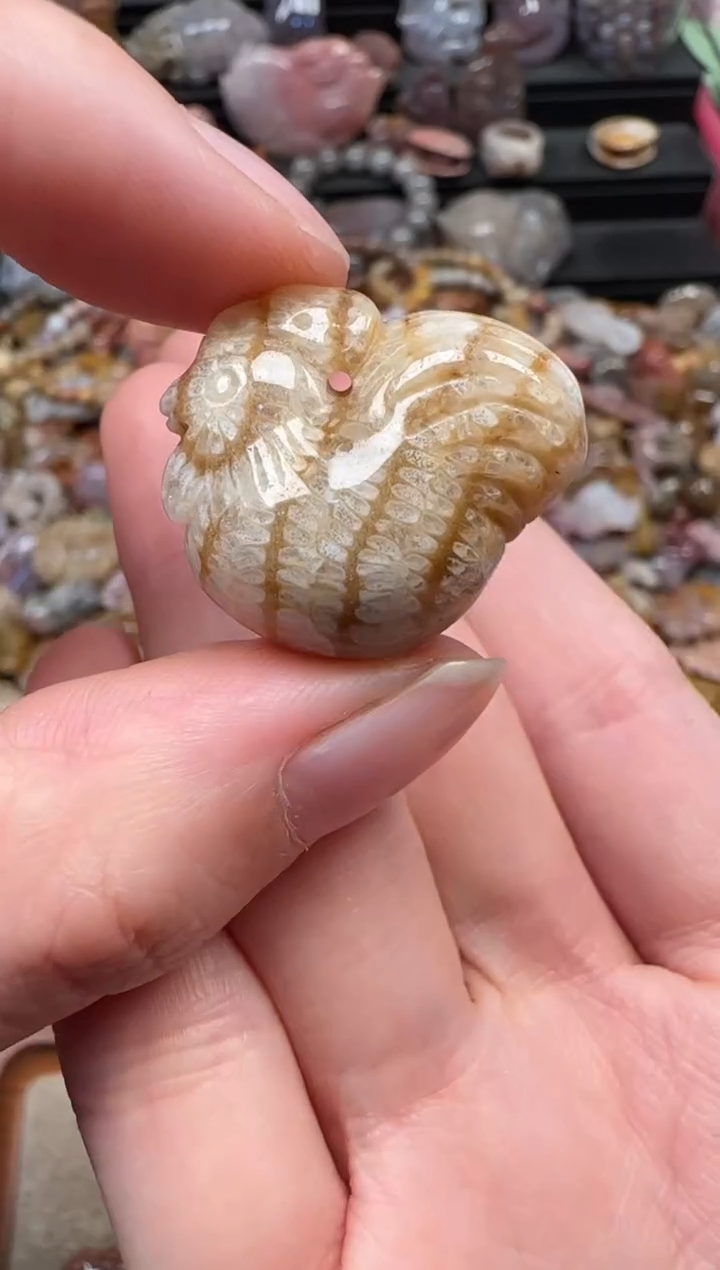 颈饰未镶嵌硅化珊瑚（珊瑚玉）645