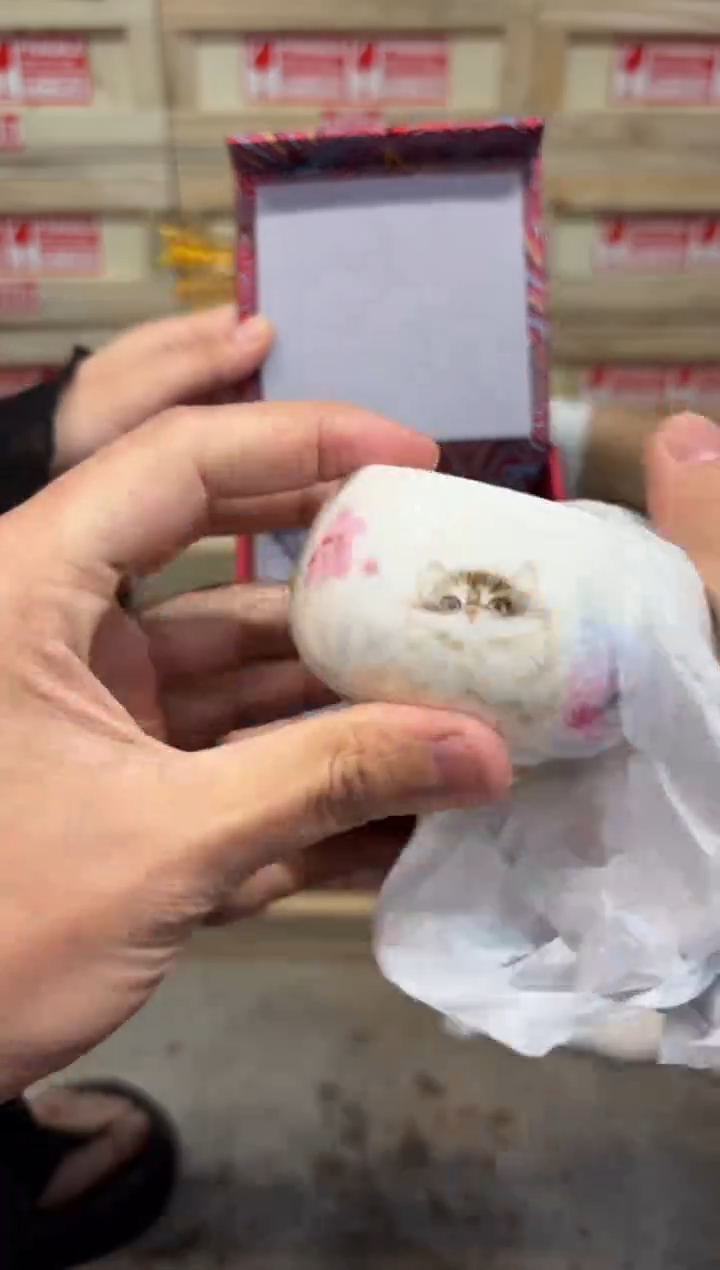 瓷片@@@@@@@@@@@@@@4948