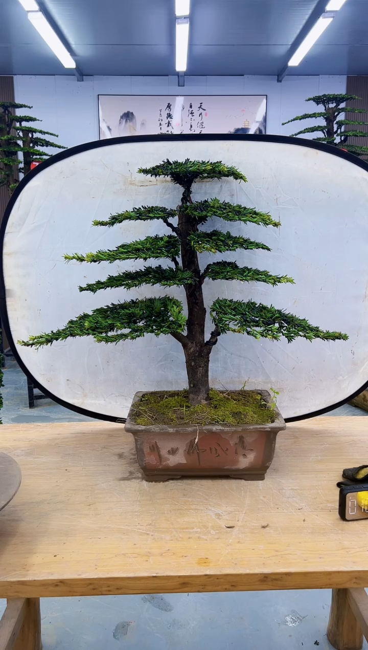 以实际为准00000000