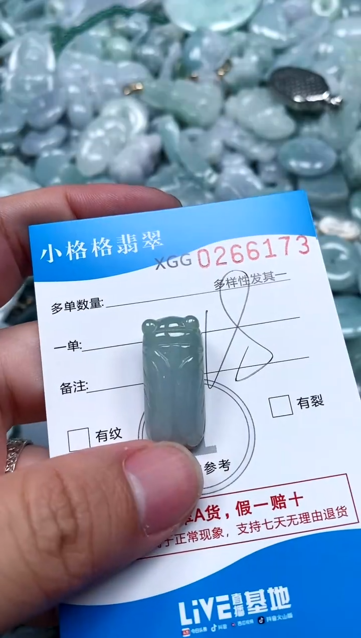 翡翠未镶嵌颈饰闪购商品0266173