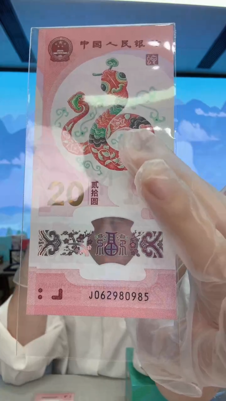 塑料蛇钞如意号062980985  