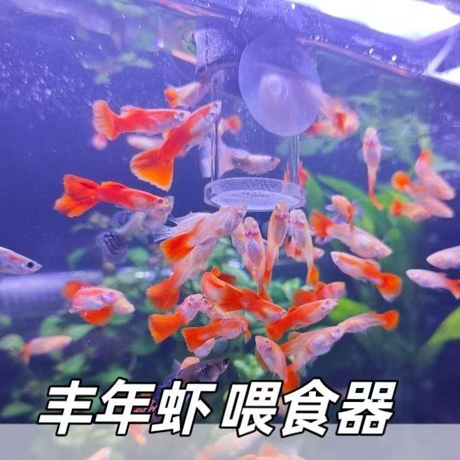 丰年虾喂食器定点小型鱼孔雀鱼卤虫鱼食亚克力透明投喂