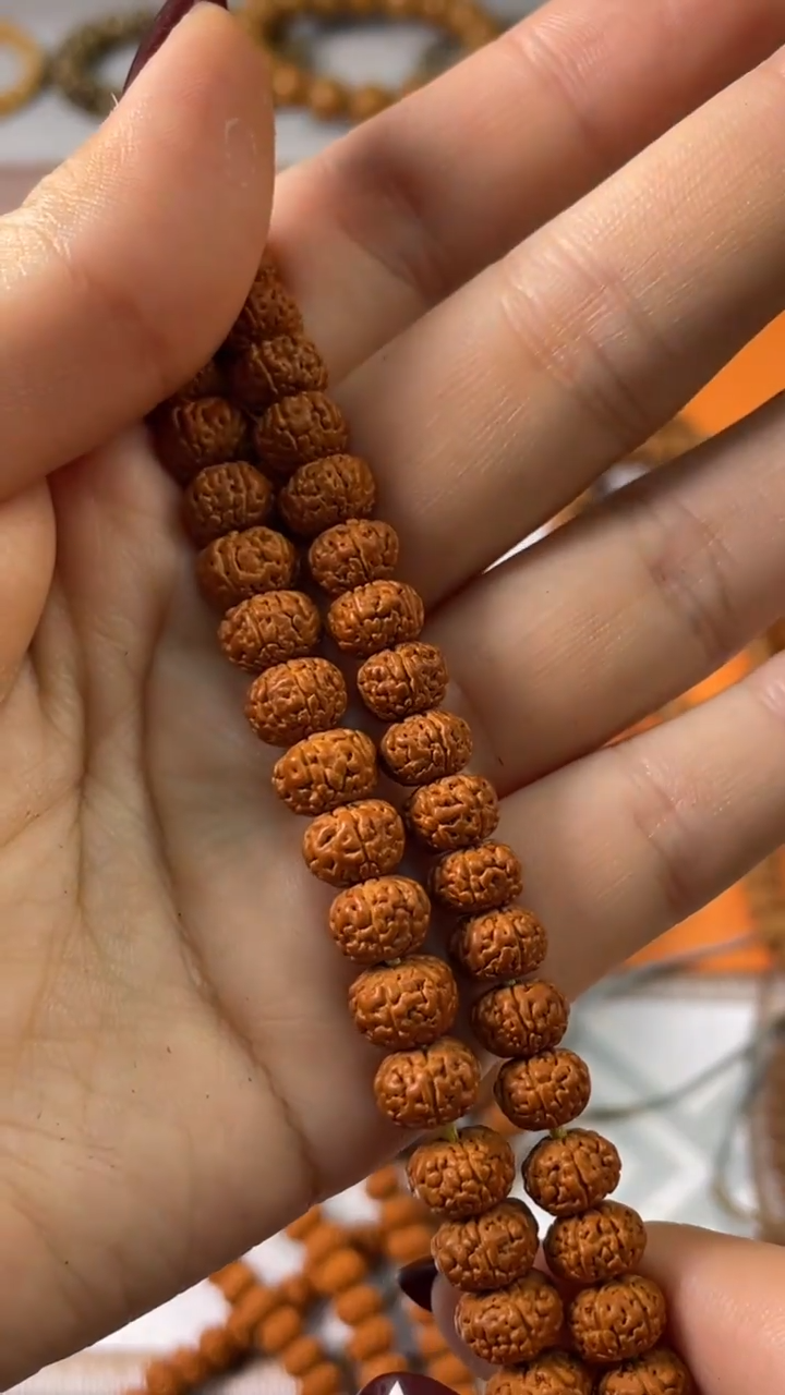 【闪购商品】金刚菩提手串665+665红皮六瓣老树王11-12+