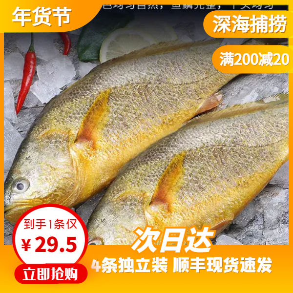 [国信大黄鱼]400-500g/条 新鲜海捕速冻锁鲜 4条装