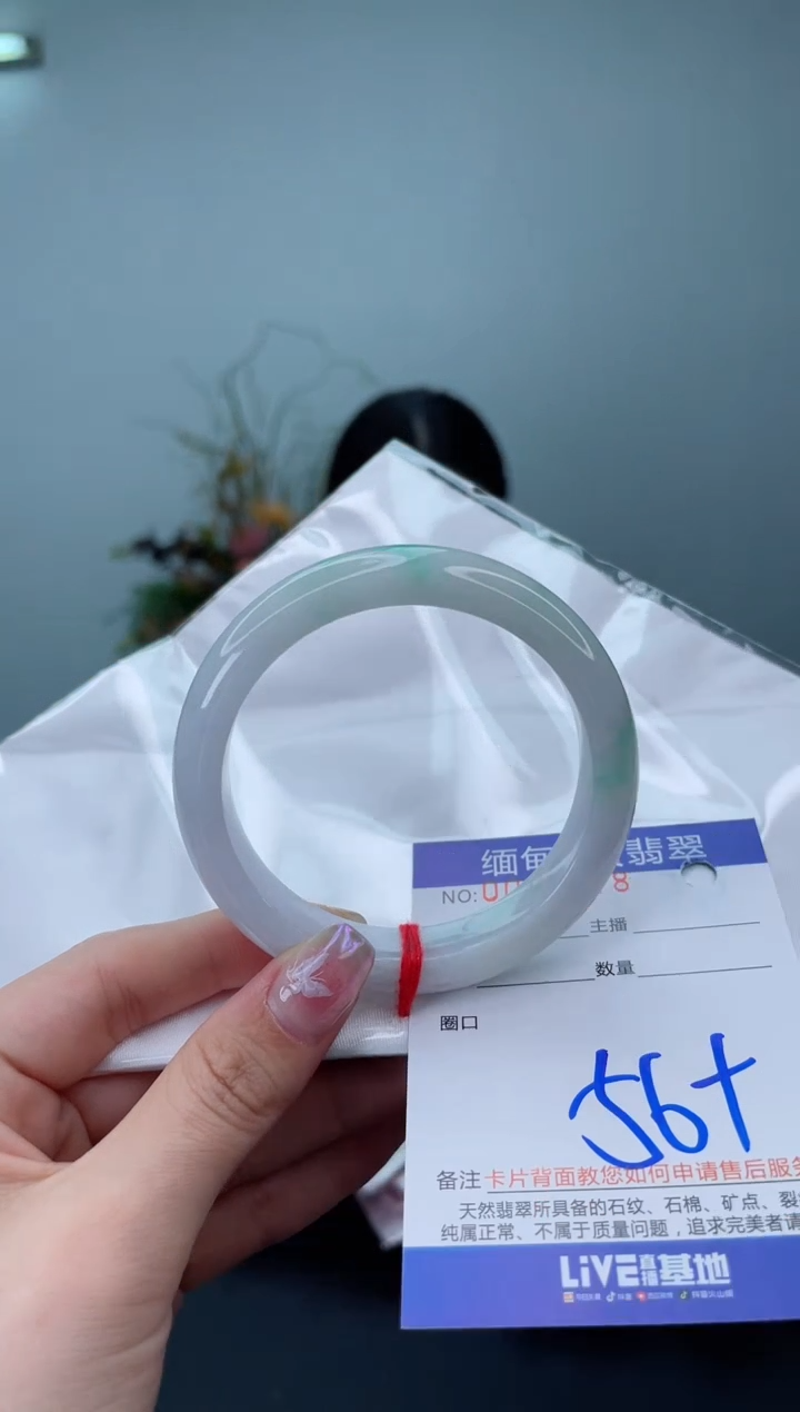 未镶嵌手镯翡翠2