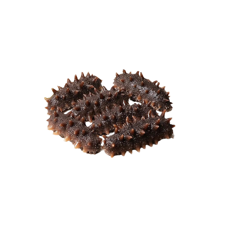 即食海参 1斤装