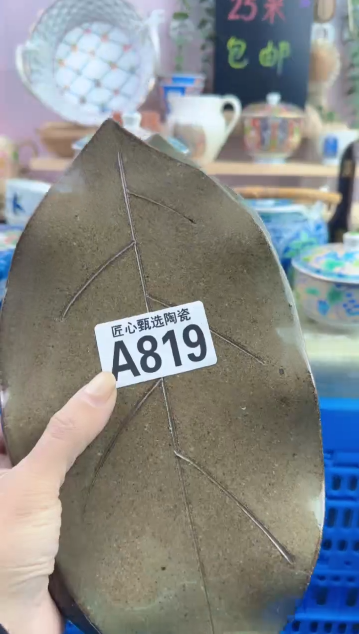 瓷片爱****?         A819