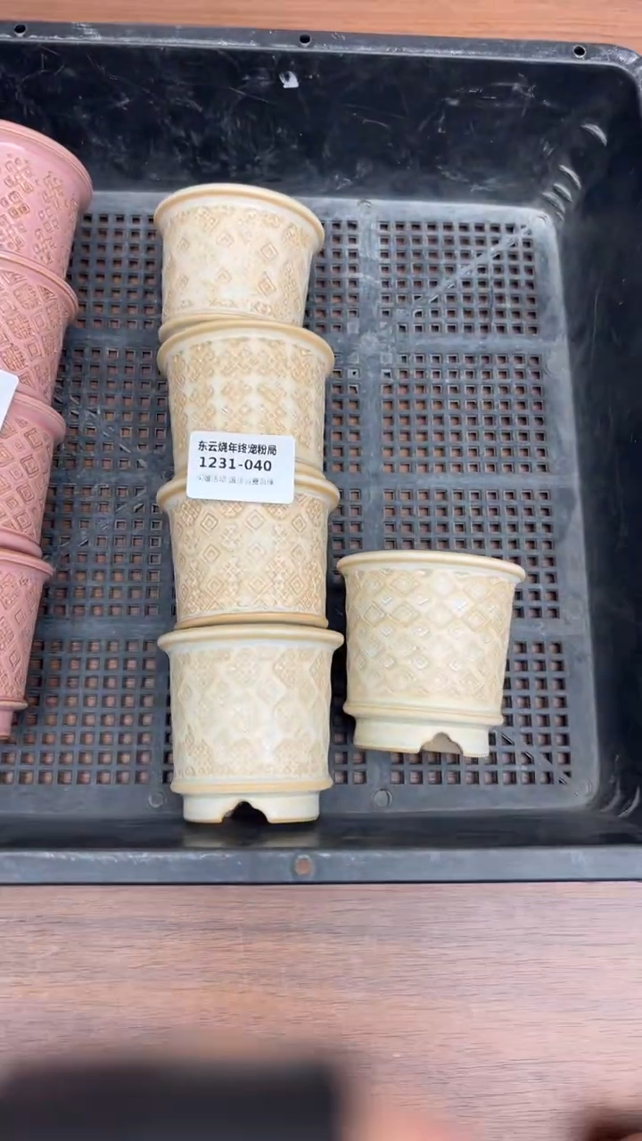 1231-040 内口4 随机一只 点赞福励