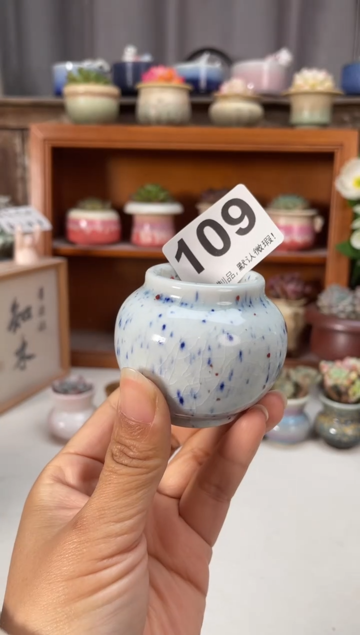 瓷片109知木小芳花盆编号