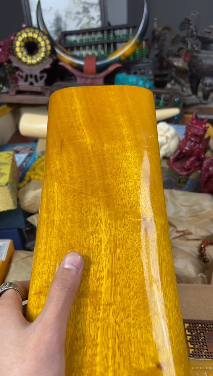 【闪购商品】金丝楠主播推荐主播推荐