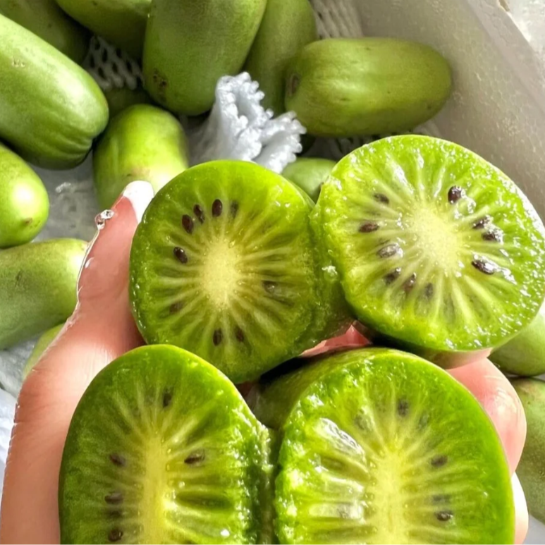 东北奇异莓超大果2斤/箱顺丰水果 S级