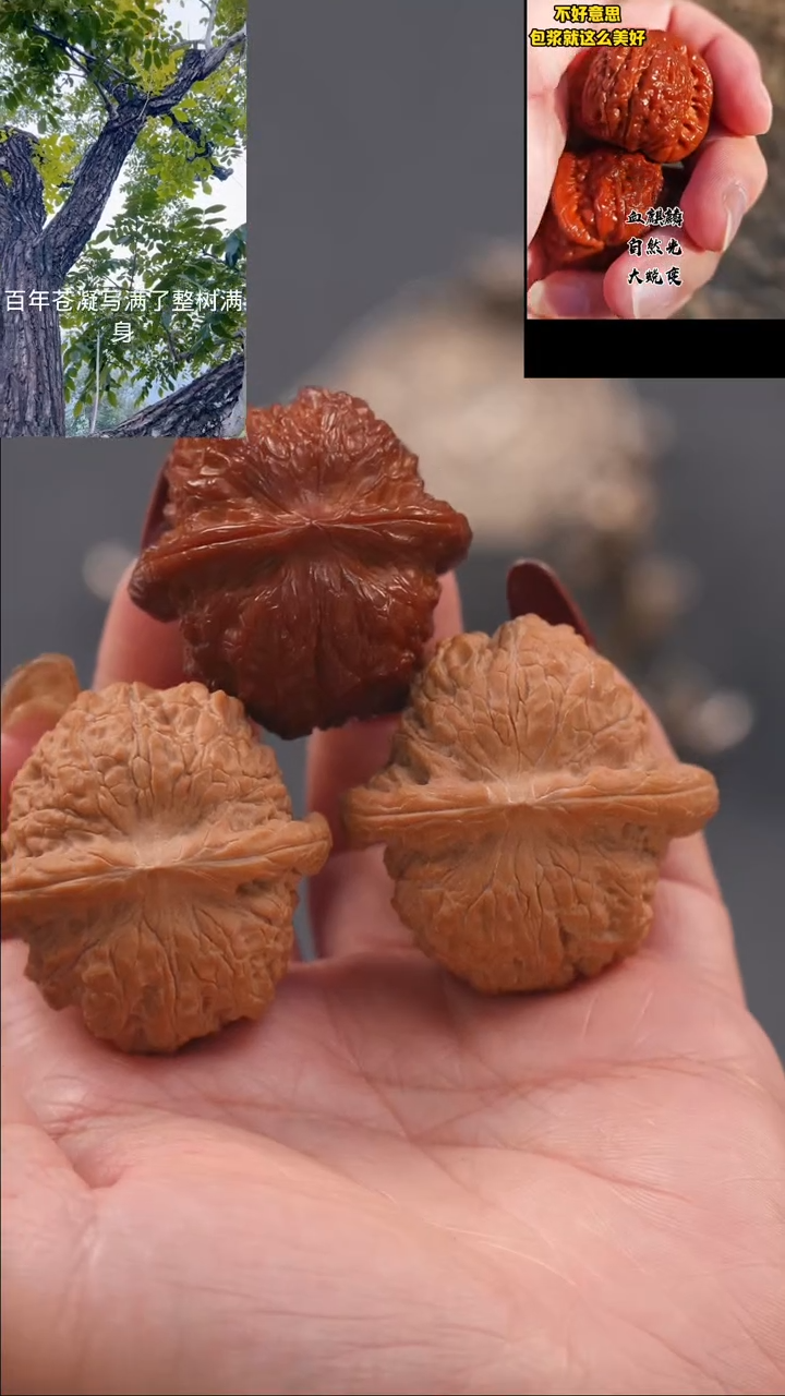 【闪购商品】文玩核桃把件41血麒麟狮子头（全品）