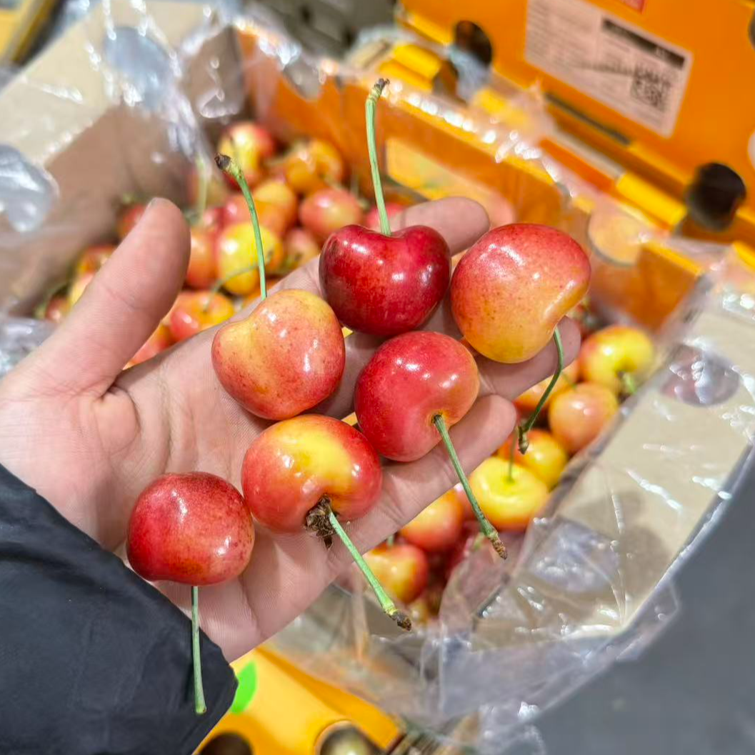 【雷尼尔】4JD智利进口海运车厘子【Rainier】  甜蜜好吃4.4斤原箱装 海运包邮内附果径卡雷尼尔樱桃智利共和国