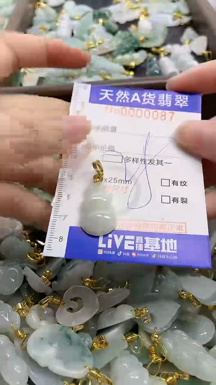 颈饰未镶嵌翡翠天然A货翡翠