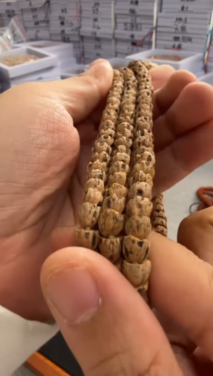 手串柏香籽/百香籽6260