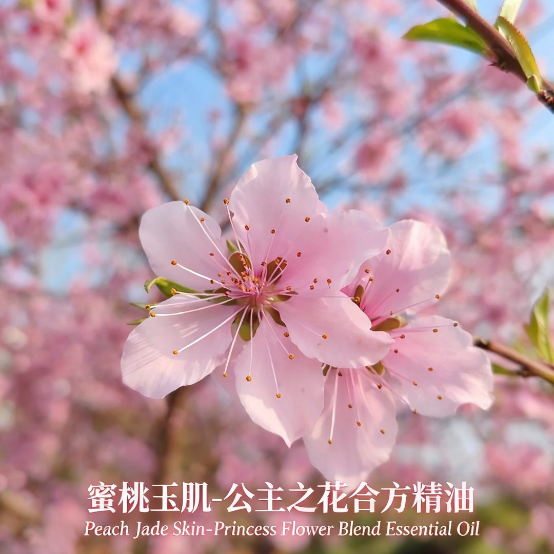 蜜桃玉肌-公主之花合方精油   