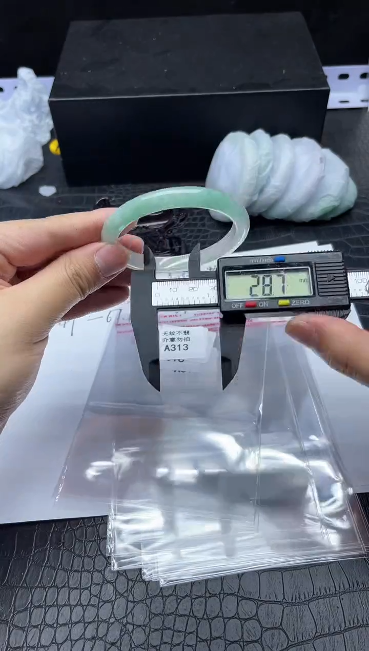 所见即所得！拍啥是啥313