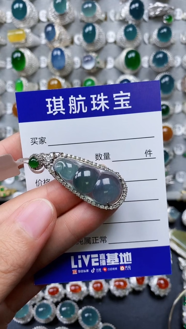 【闪购商品】翡翠颈饰银S925镶嵌0281