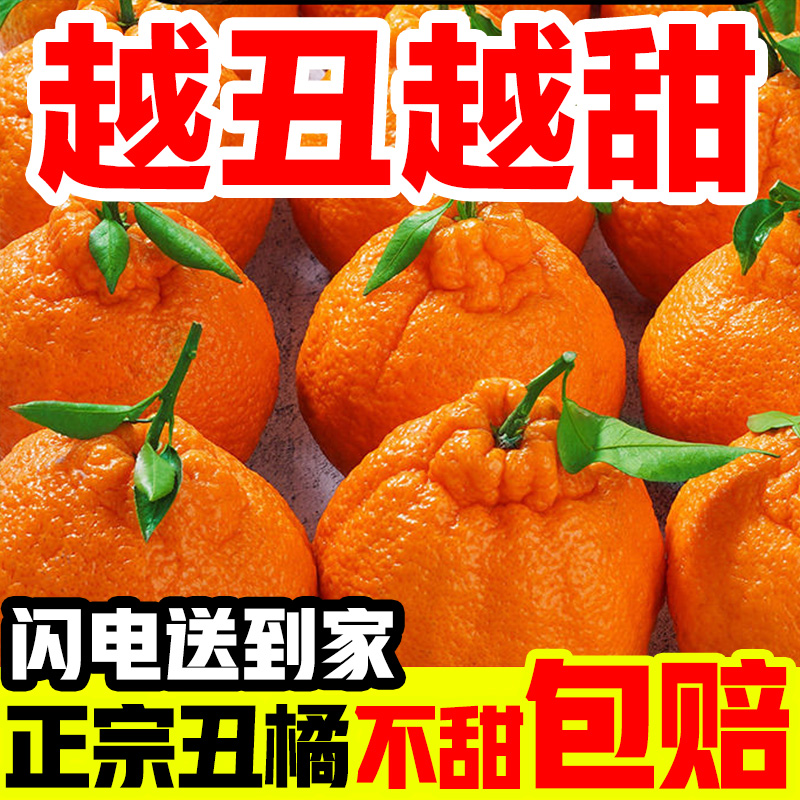 正宗四川不知火丑橘新鲜应季水果个大饱满多汁非耙耙柑