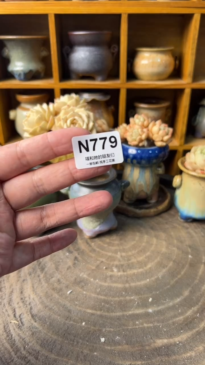 森*779【多肉花盆多肉盆】