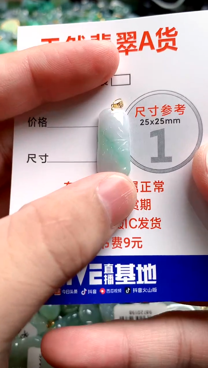 翡翠18K金镶嵌颈饰24002154