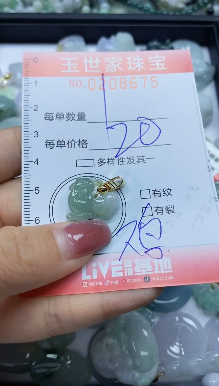 【闪购商品】翡翠颈饰未镶嵌闪购0208675