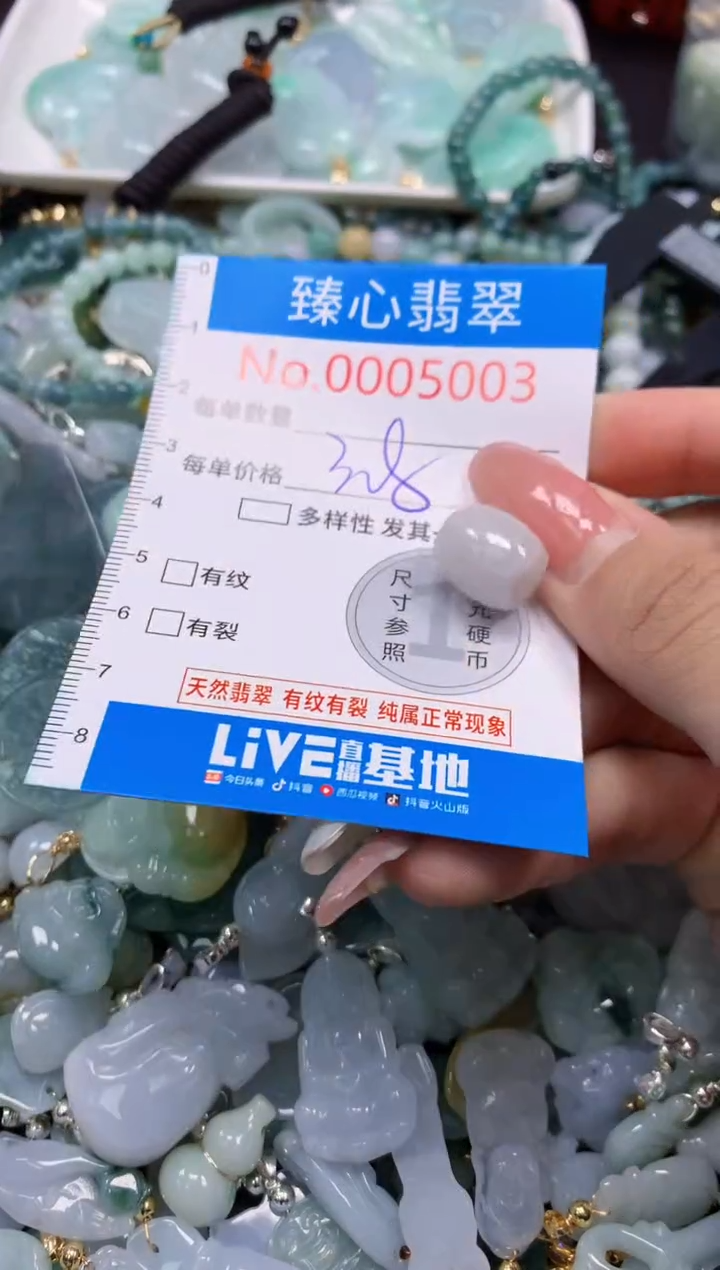 翡翠未镶嵌颈饰5003