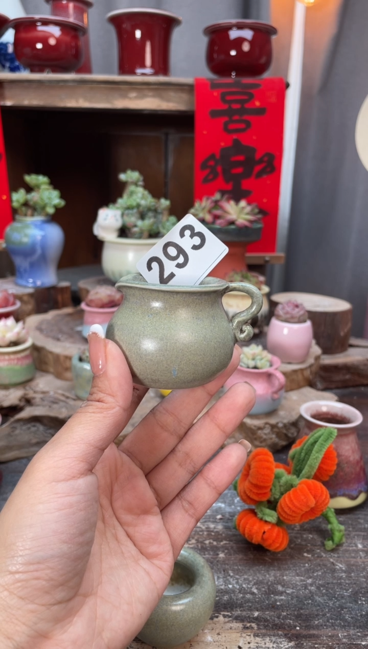 【闪购商品】摆件293知木小芳花盆编号