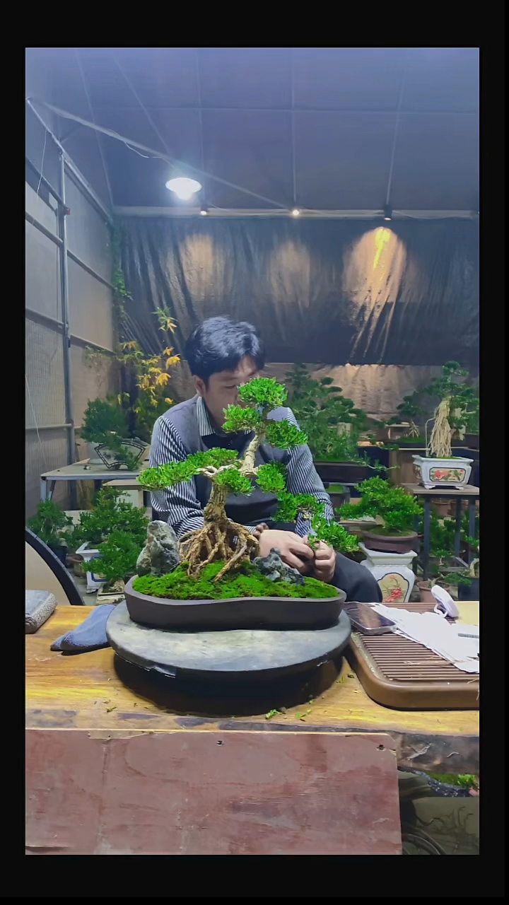 完全开放和*0000000000000000