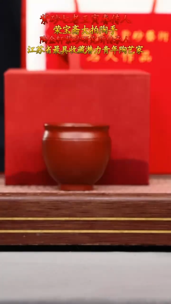 【闪购商品】紫砂壶XH2401105T480-01