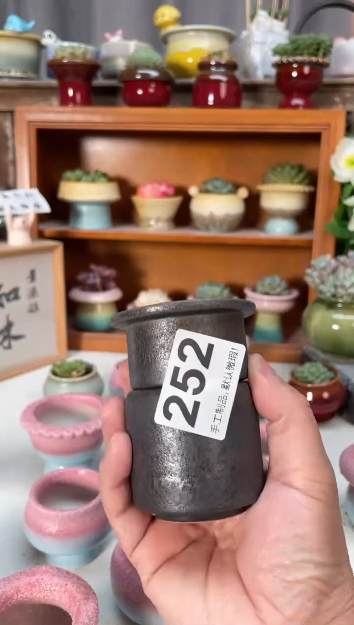 瓷片戚*252小芳直播编号