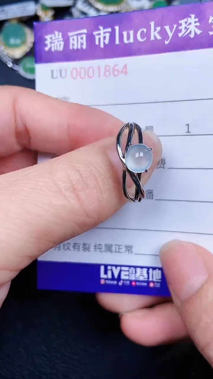 颈饰银S925镶嵌翡翠1864